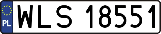 WLS18551