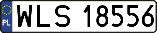 WLS18556
