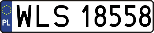 WLS18558