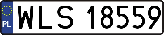 WLS18559