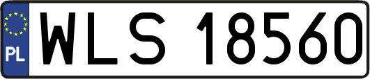 WLS18560