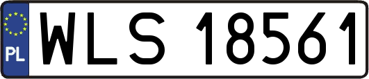 WLS18561