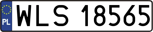 WLS18565
