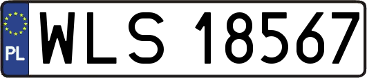 WLS18567