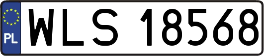 WLS18568