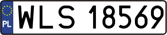 WLS18569