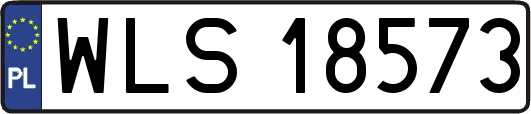WLS18573