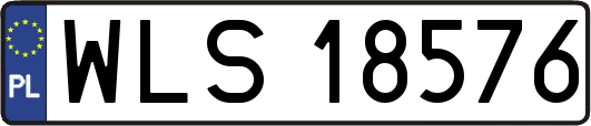 WLS18576