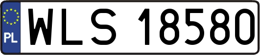 WLS18580