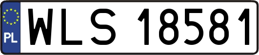 WLS18581
