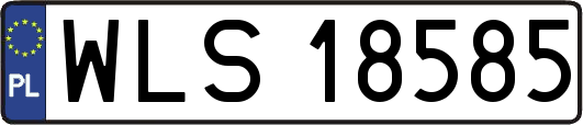 WLS18585