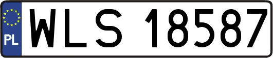 WLS18587