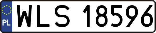 WLS18596