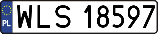 WLS18597