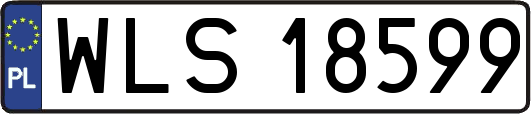 WLS18599