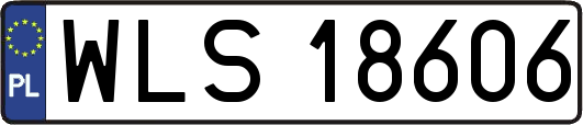 WLS18606