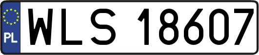 WLS18607