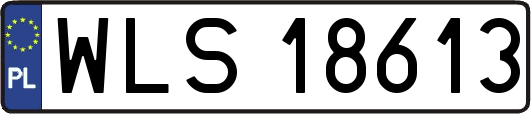 WLS18613