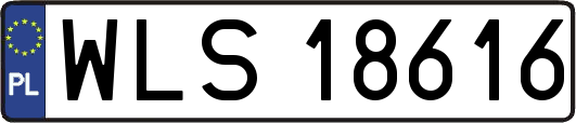 WLS18616