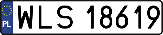 WLS18619