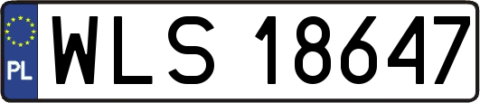 WLS18647