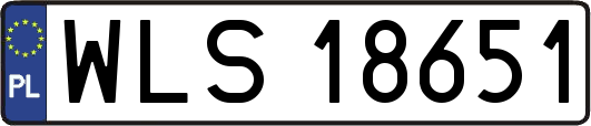 WLS18651