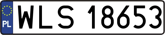 WLS18653