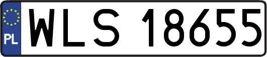 WLS18655