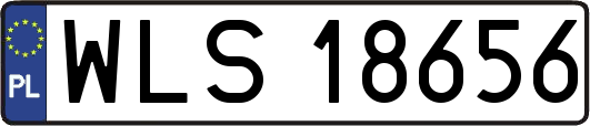 WLS18656