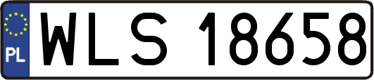 WLS18658