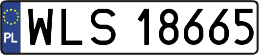WLS18665