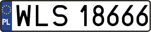 WLS18666