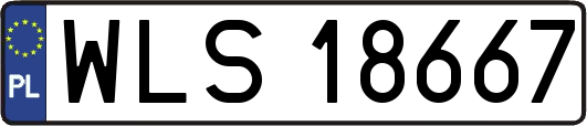 WLS18667