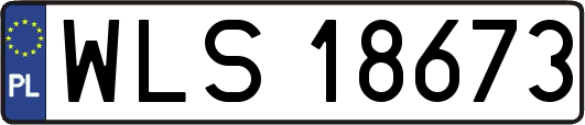 WLS18673