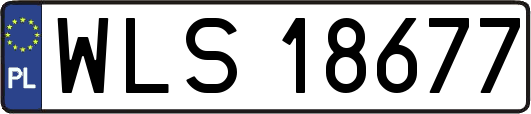 WLS18677