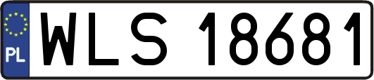 WLS18681