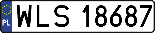 WLS18687