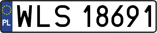 WLS18691