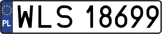 WLS18699