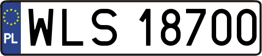 WLS18700