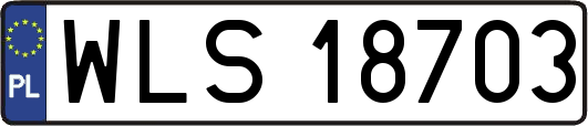 WLS18703