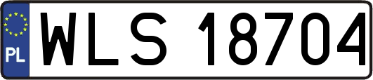 WLS18704