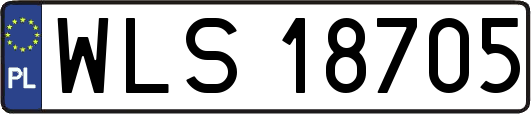 WLS18705