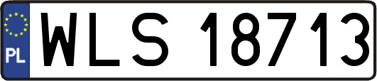 WLS18713