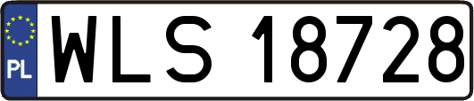 WLS18728