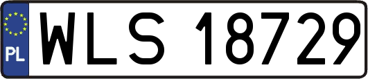 WLS18729