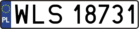 WLS18731