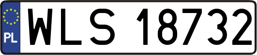 WLS18732