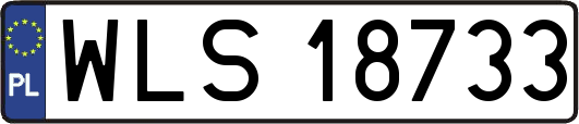 WLS18733
