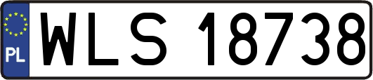 WLS18738